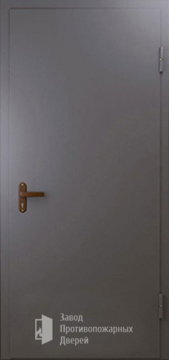 Фото двери «Техническая дверь №1 однопольная» в Щербинке