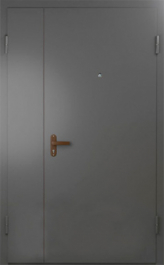 Фото двери «Техническая дверь №6 полуторная» в Щербинке